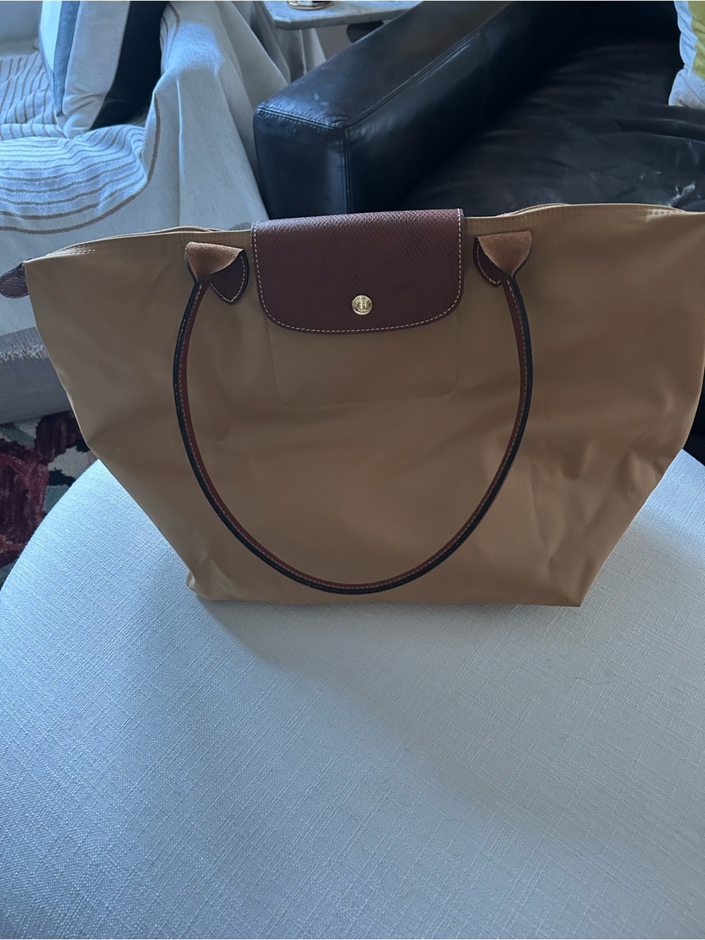 Longchamp Tote in Tan with Brown Trim and Handles
